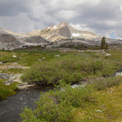 The High Sierra Workshop with Jeremy Lipking June 2023